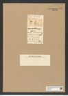Zygoceros hemitropus L. W. (de-Toni-Nr.: Genus 126, Species 3551) Zeichnungen Sammlung Grunow Nr. 7031 (NHMW-BOT-W0375954)